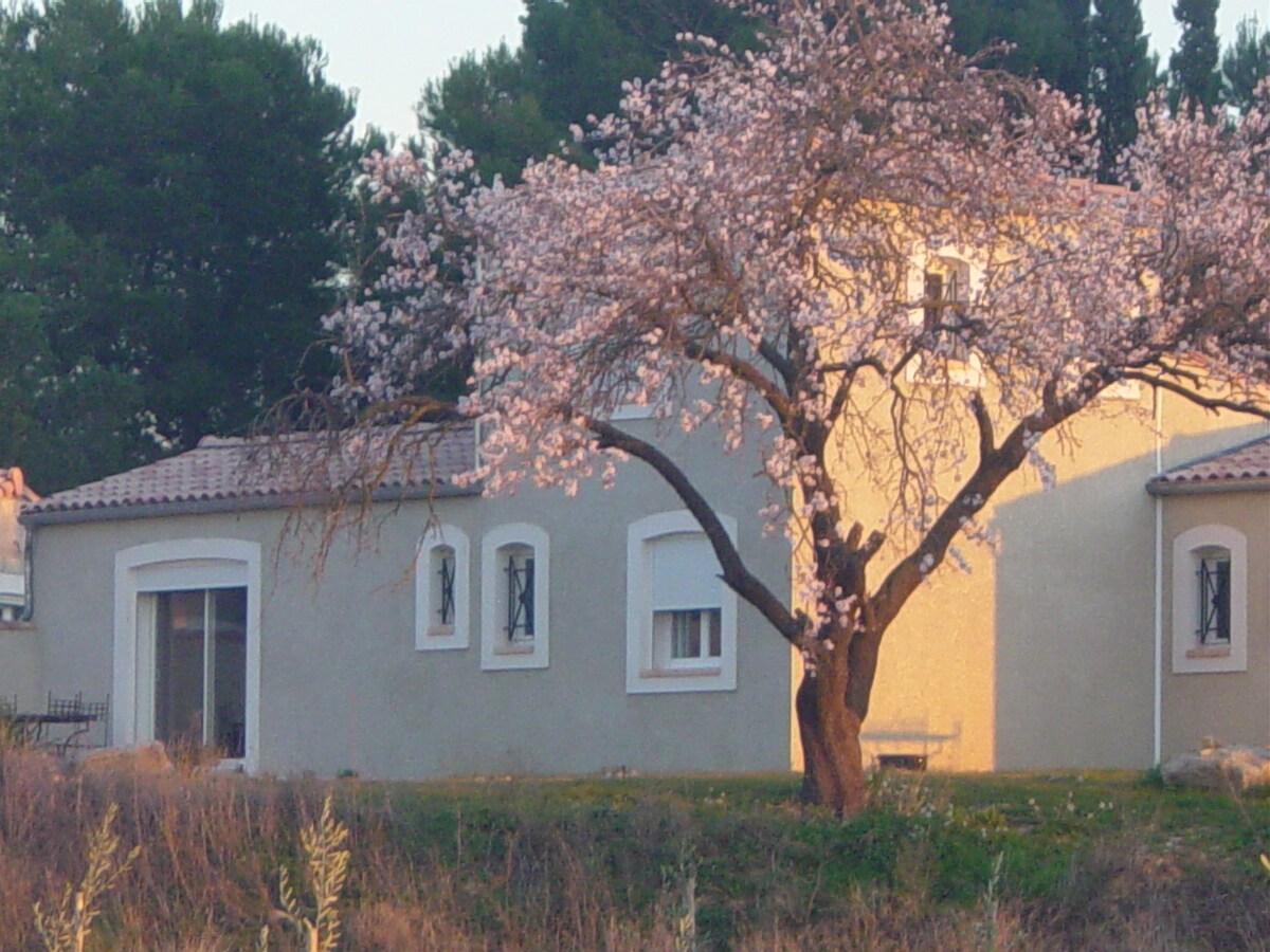 Villa " le Cypres " avec piscine lagon à partager