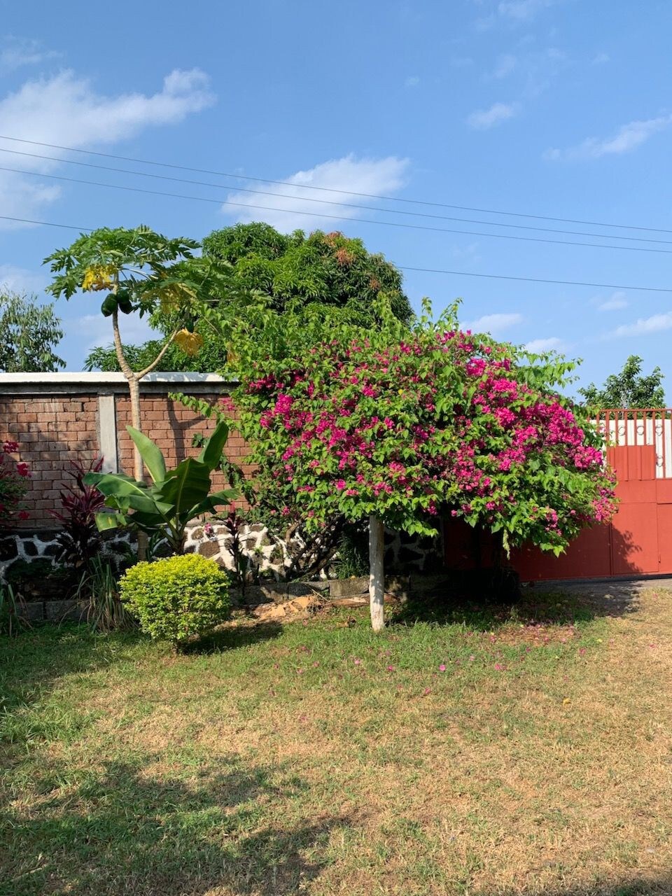 Le Refuge Tropical entre collines et plages.