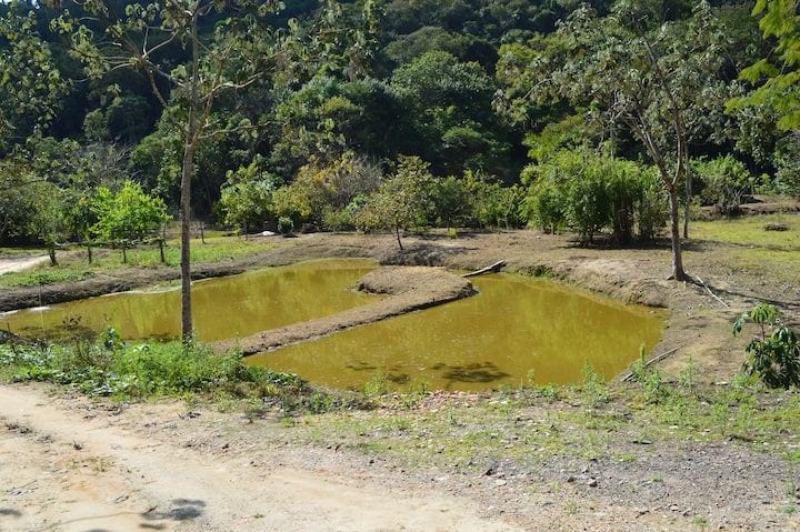 Sitio Agradável com Lago e Piscina Guararema!