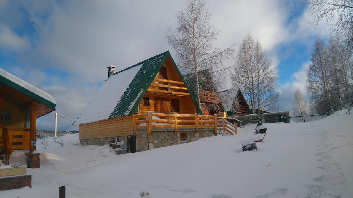 Zabljak林茂密地区安静的小屋