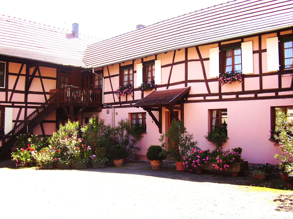 Gîte Duplex Centre Alsace 4页