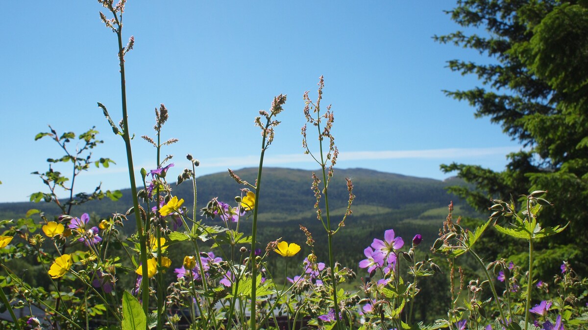 位于Åre Edsåsen的小型舒适小木屋