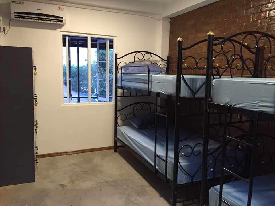 Roly Hostel-Female Dorm