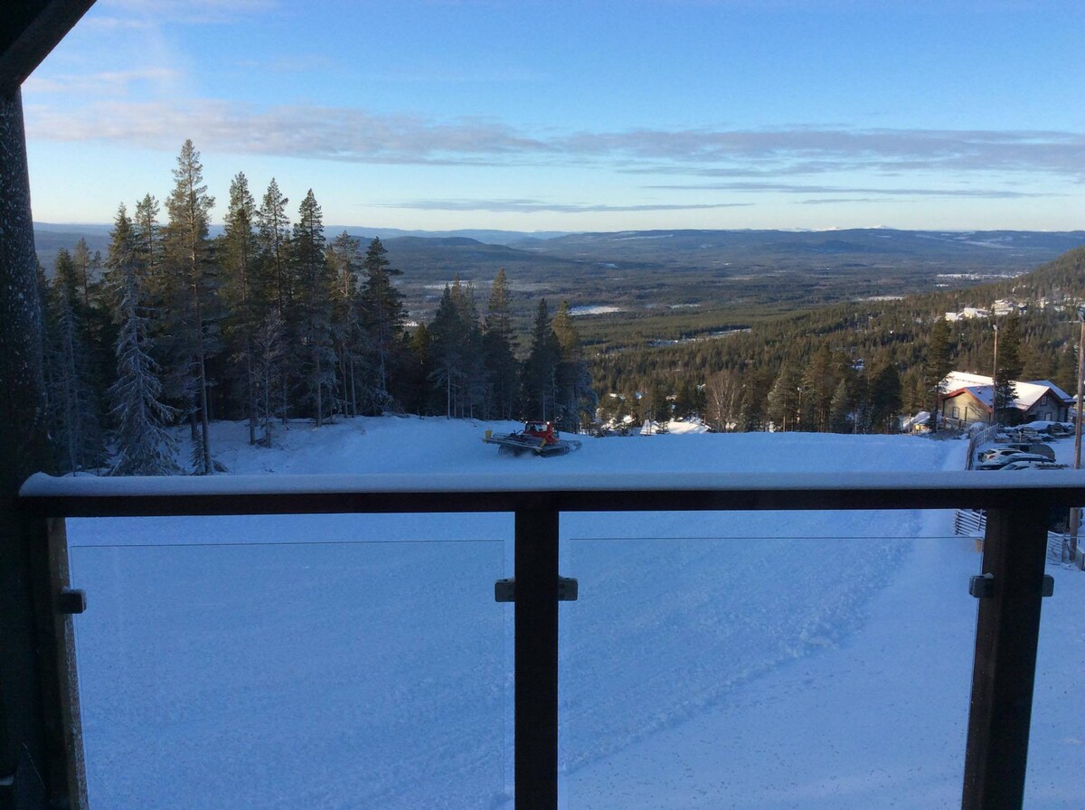 Vemdalens bästa ski in/out I Björnrike vid Bräjks