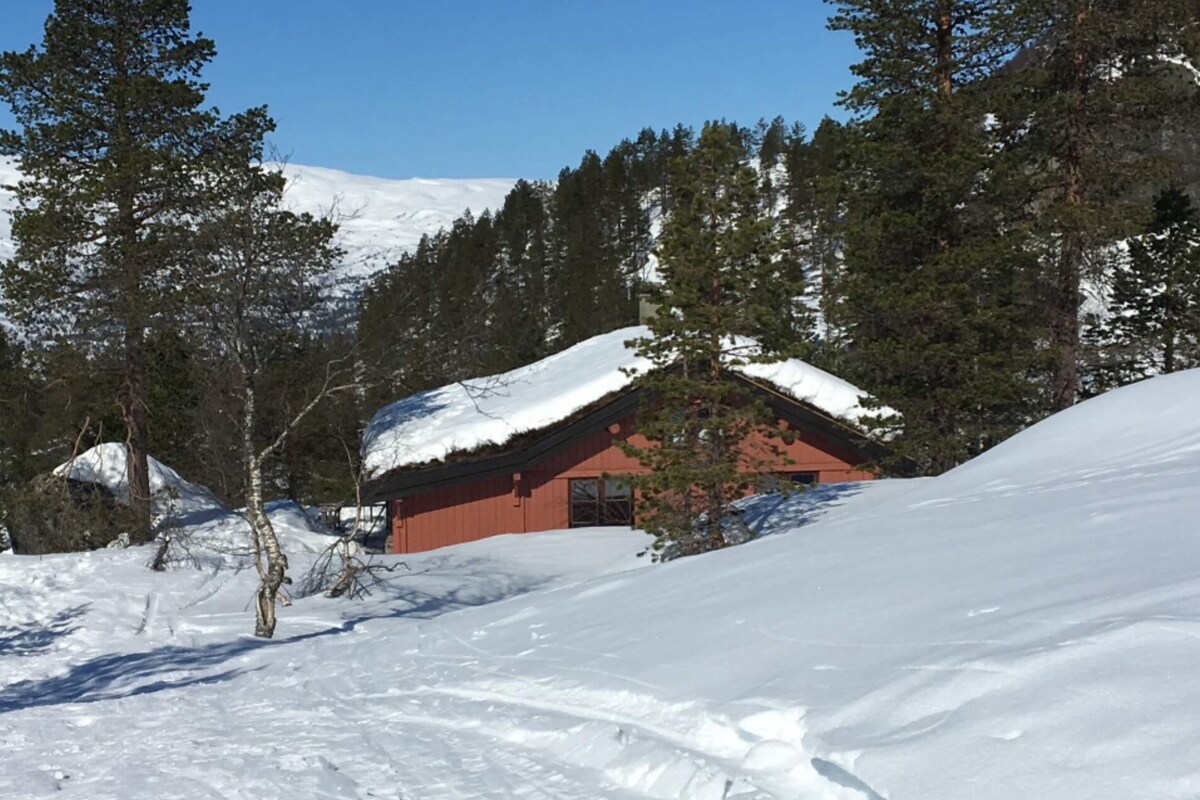 洛宁乡村小屋