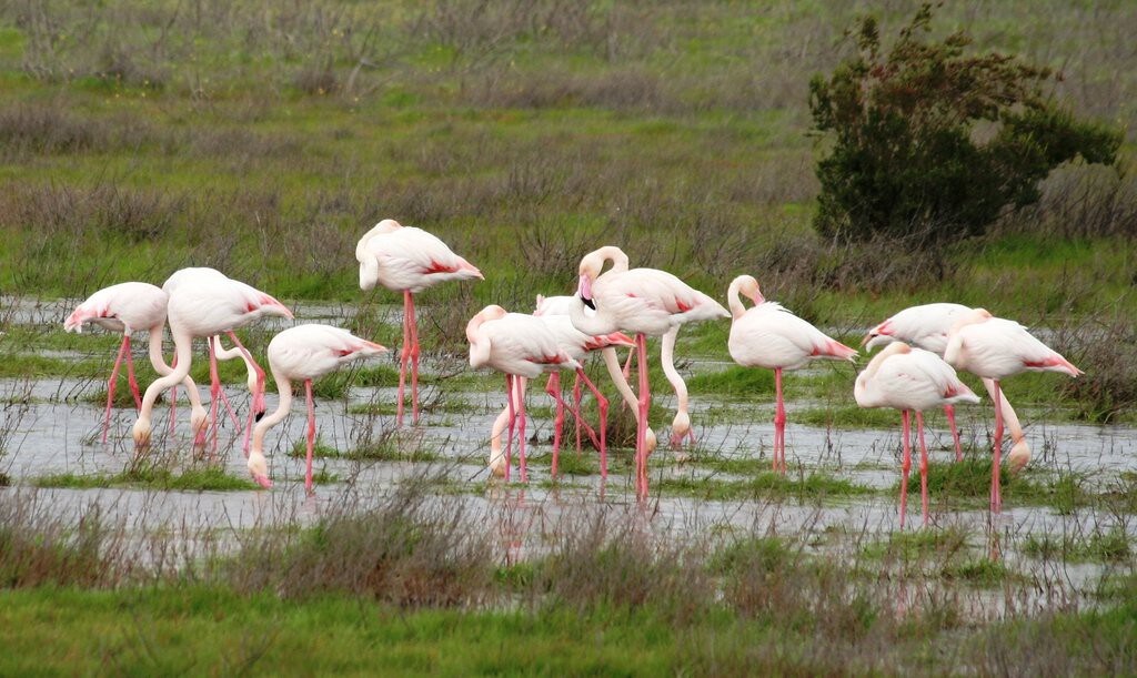 Birders Accommodation, guesthouse or for long stay