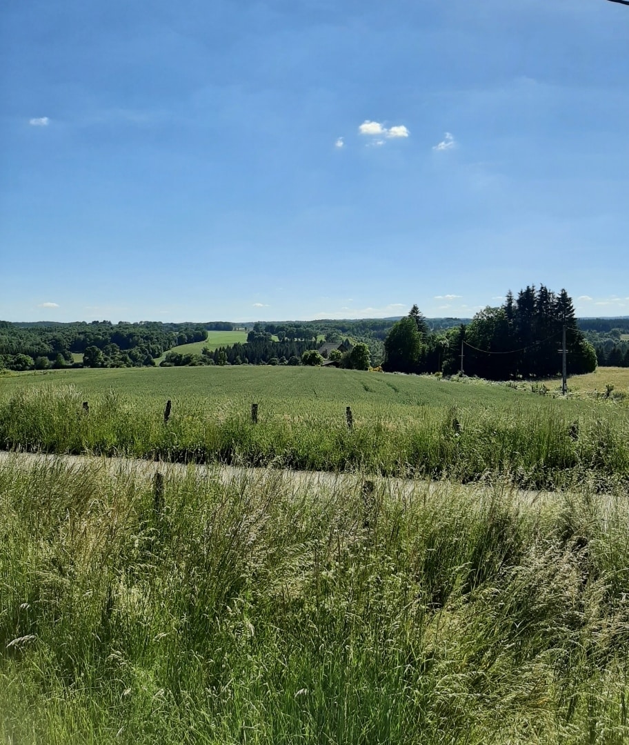 Le mont des Bouleaux, immersion en pleine nature.