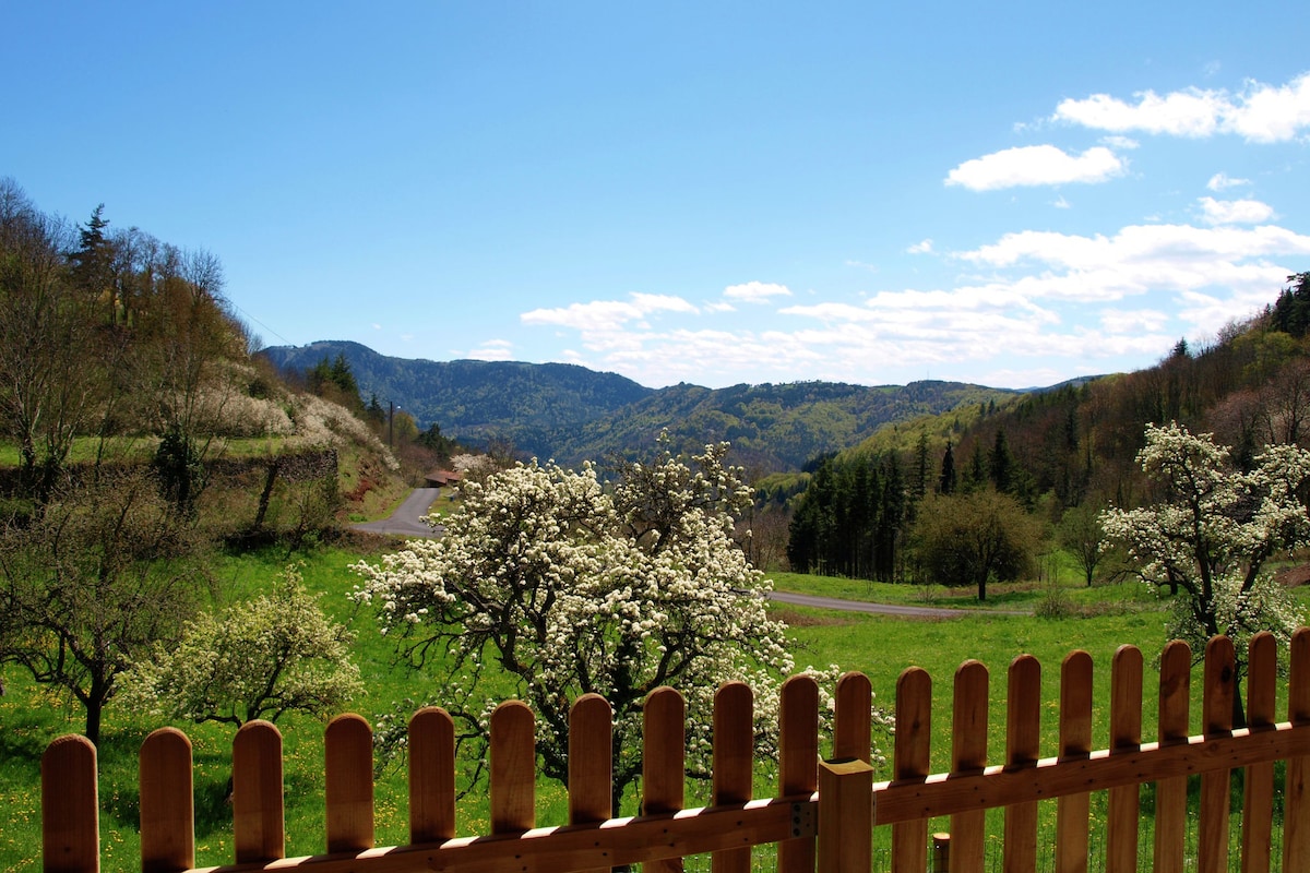 Holiday home nearby river