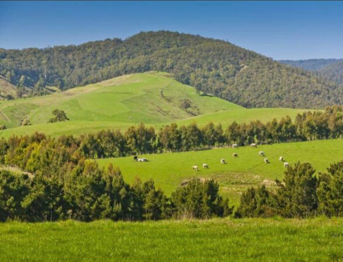 Pemnel Farm -适合家庭和美食家