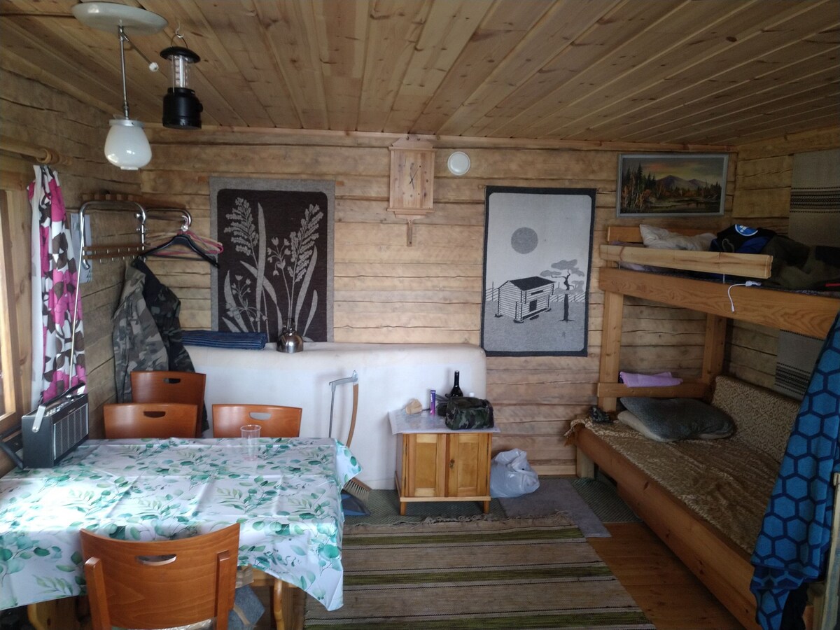 荒野湖畔的小木屋。