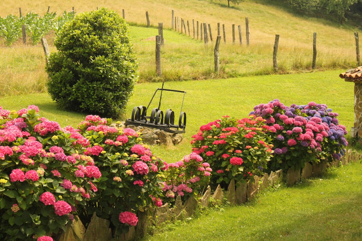 Amaiur Landetxea, casa rural en plena naturaleza