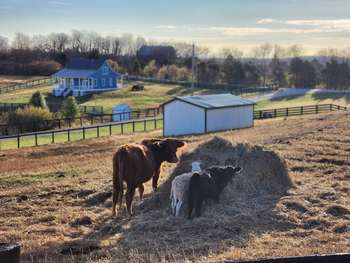 Milk & Honey Farm Cottage House