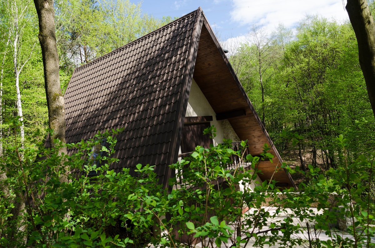 Summer House near Lake Bukovec