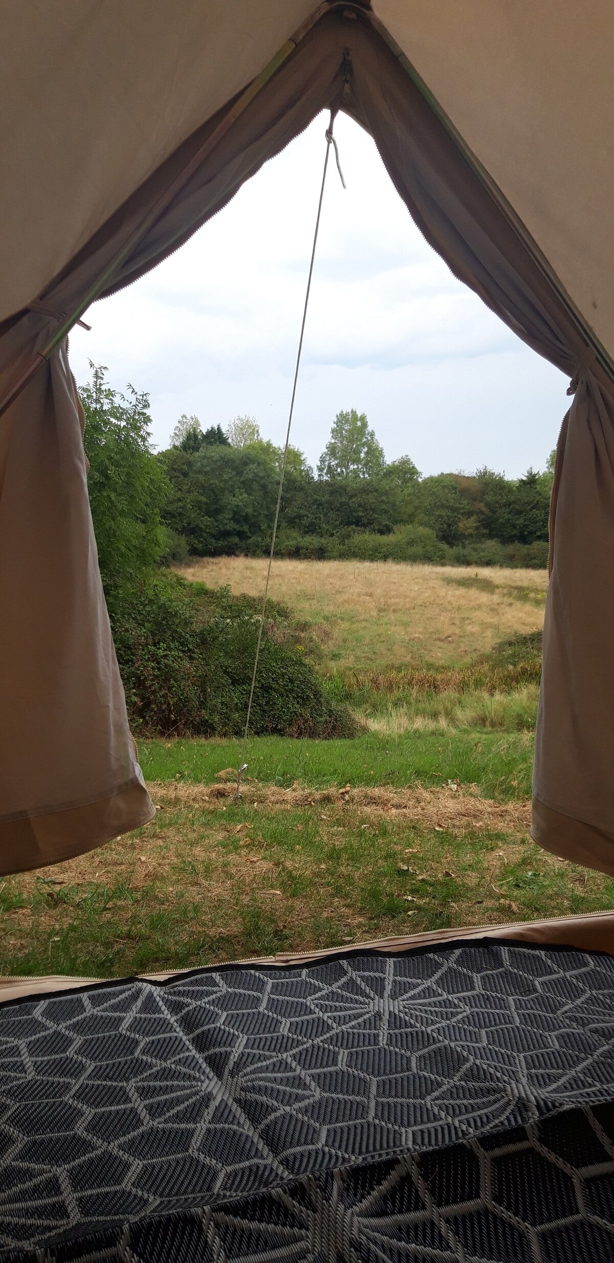野外为自然管理的宽敞5米钟形帐篷