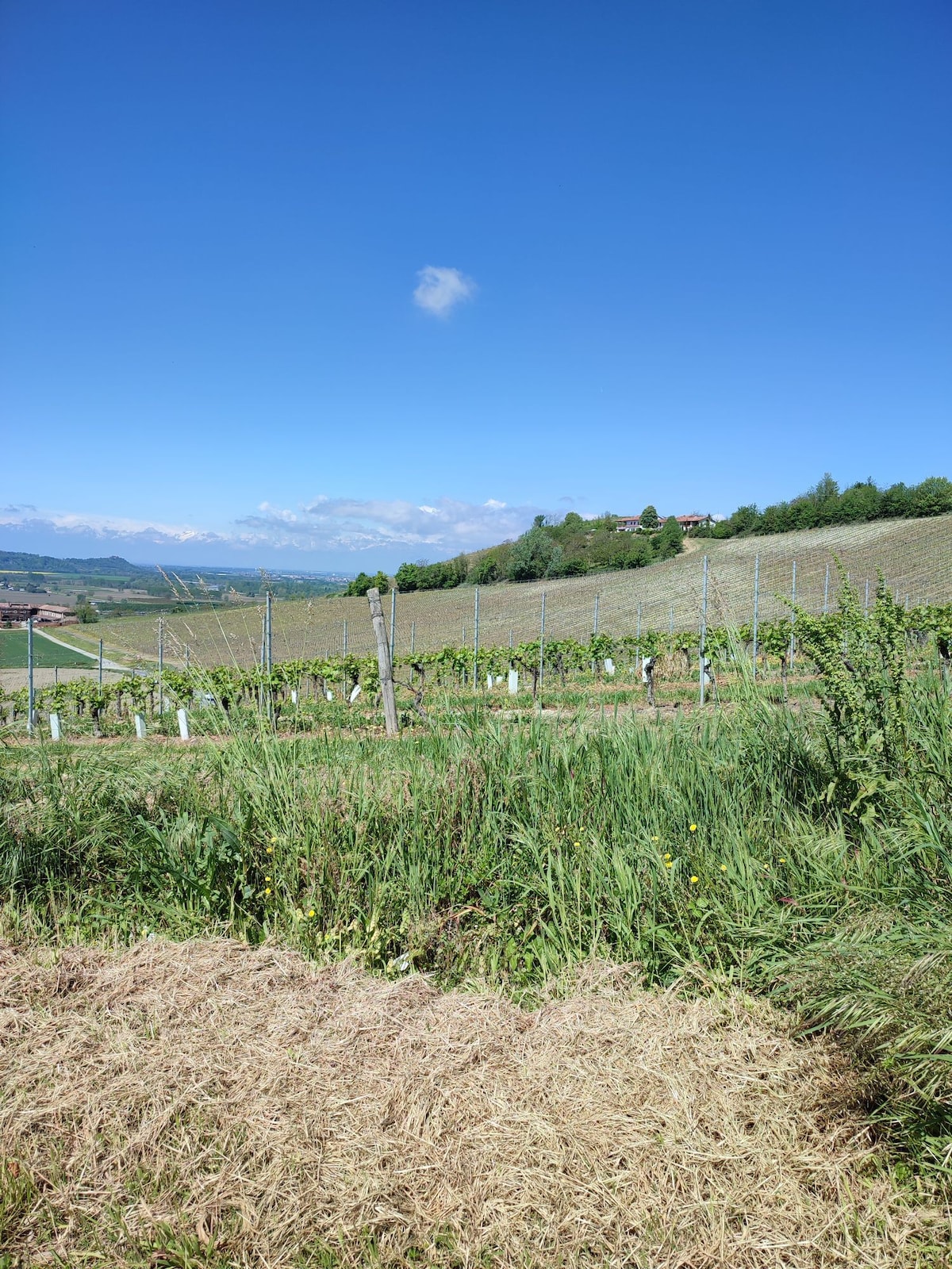 la casa di nonna Tina