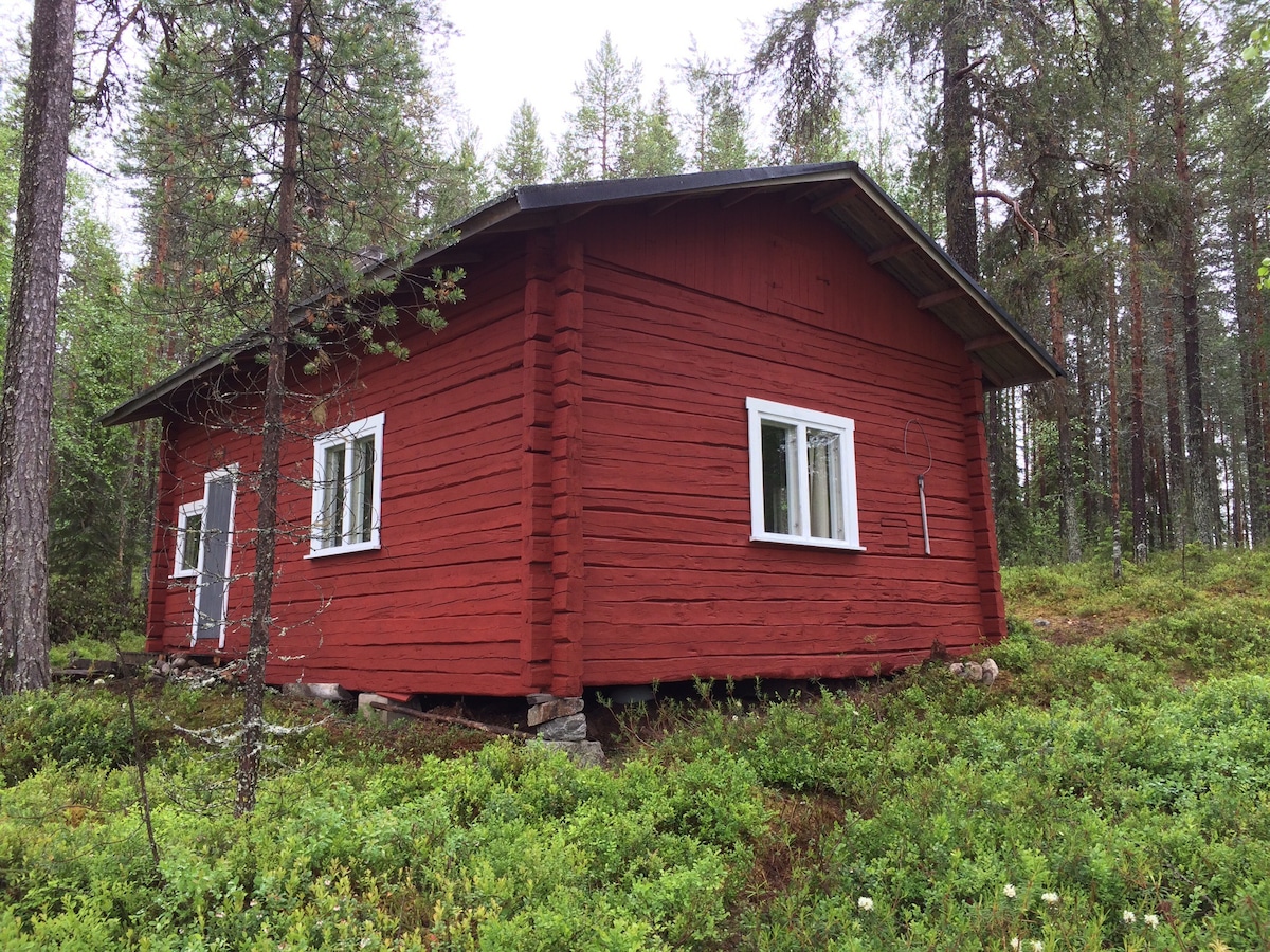 带桑拿浴的湖畔小屋