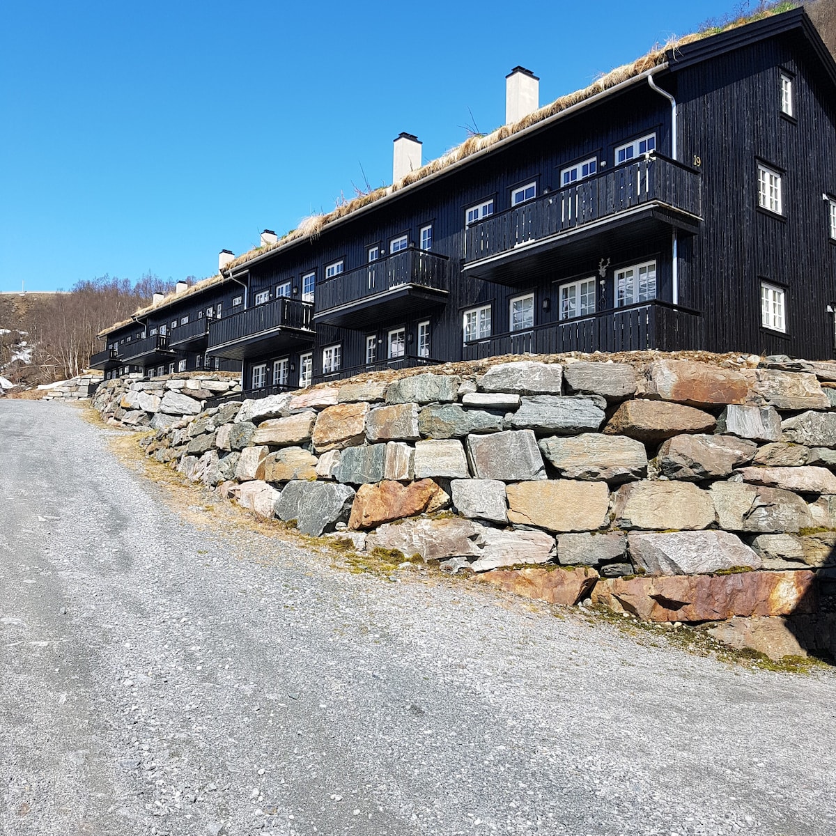 Røldal滑雪中心山间公寓，