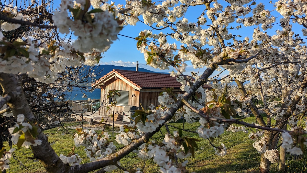 Hyttami 5-Plein Charming-Pue-Vue on Lake-Yverdon。