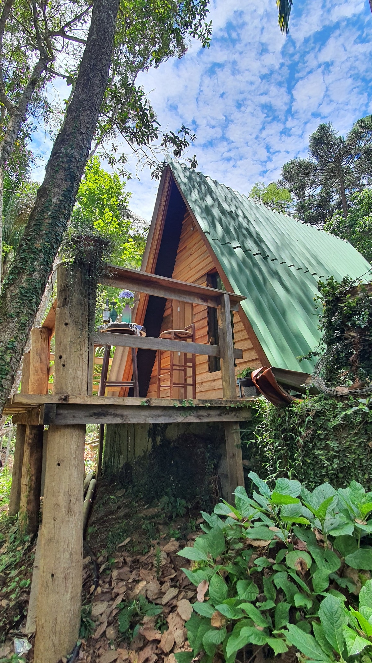 Casa na Montanha com mais Duas Cabanas de Madeira
