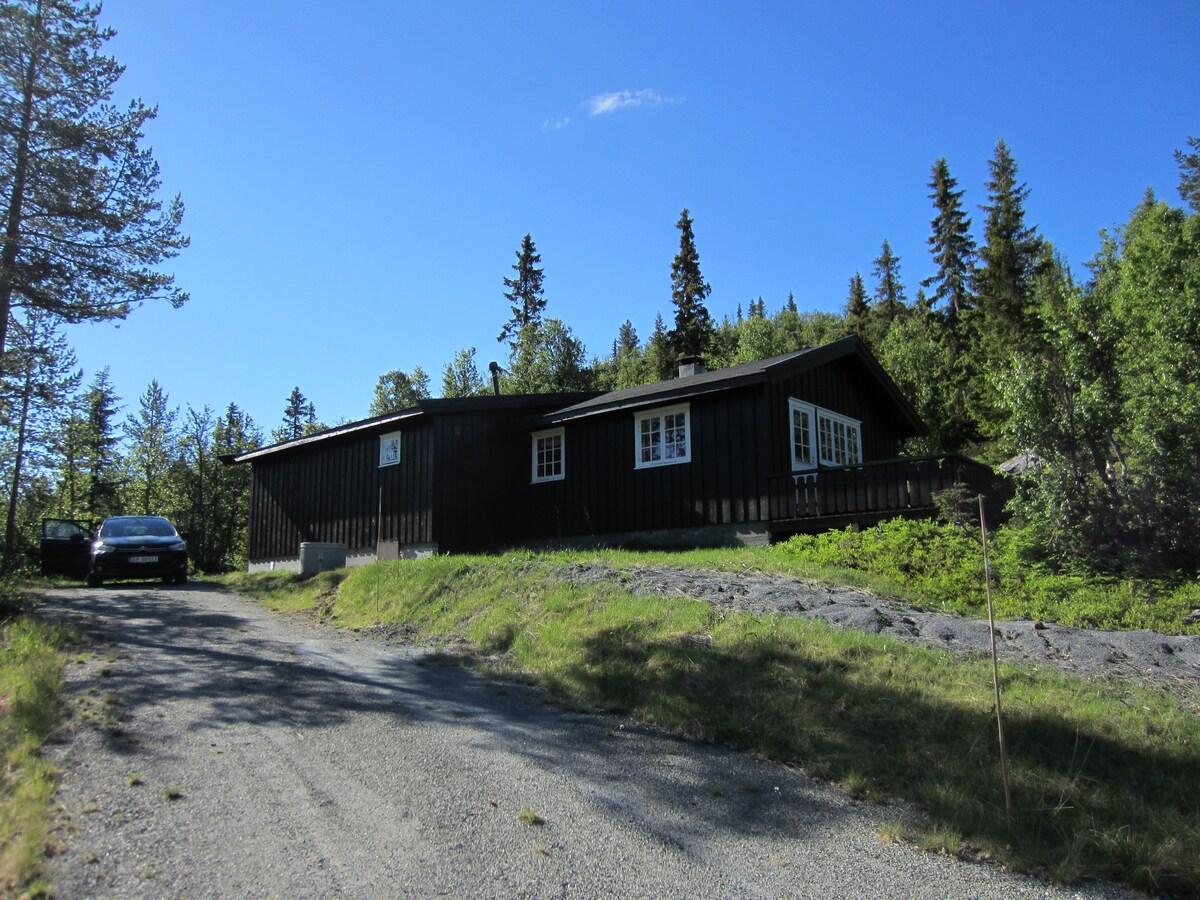Classic three bedroom cabin, Hemsedal
