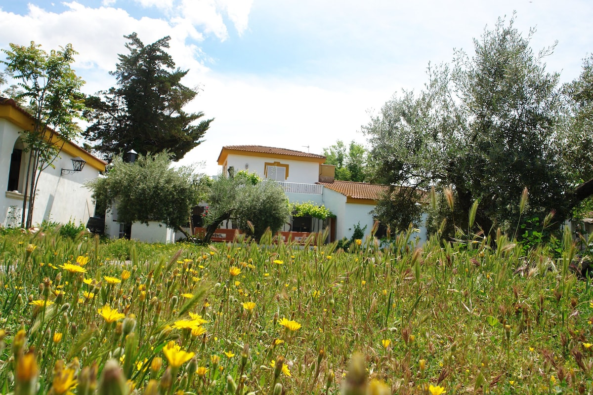 CampoParaíso: Gran casa, parcela y piscina privada