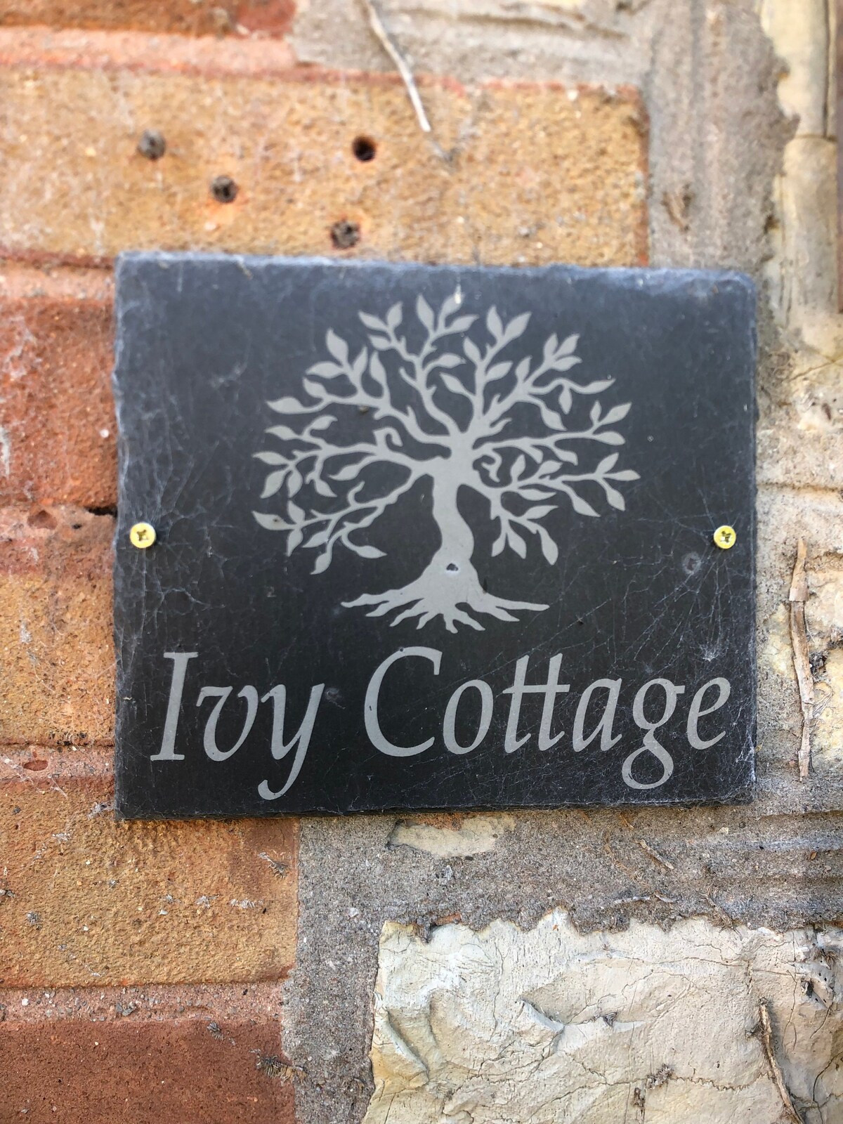 Ivy Cottage - Character 2 Bed Cottage in Somerset