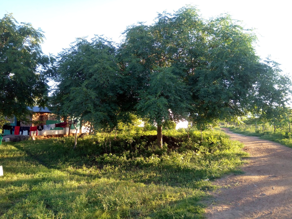 Tsavo neighborhood Bush house 3