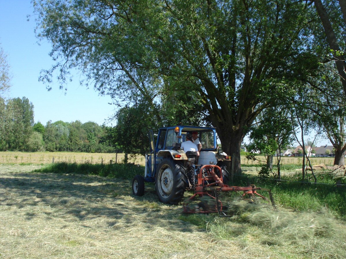 Farm the Hagepoorter 4 - Hawthorn