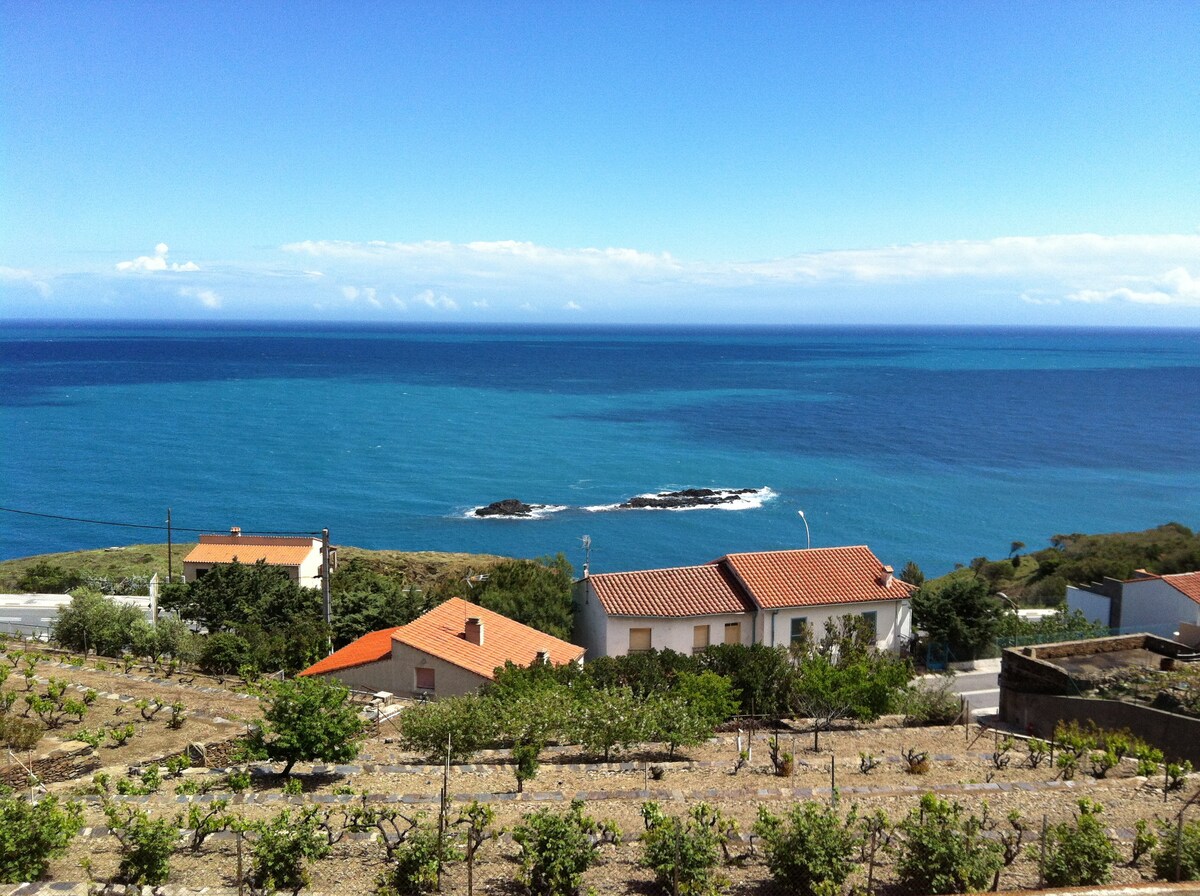 带皮划艇和桨板的公寓海景