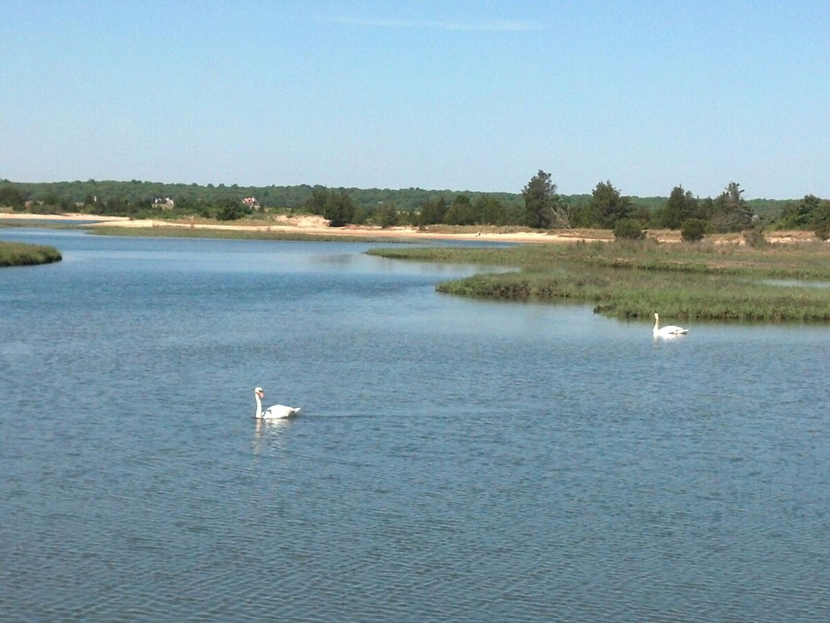 Ritz-East Hampton Cottage - 5星