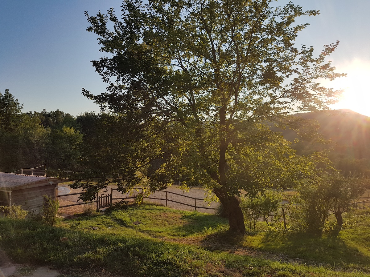 Logement en campagne à 2 kms du village de Aouste