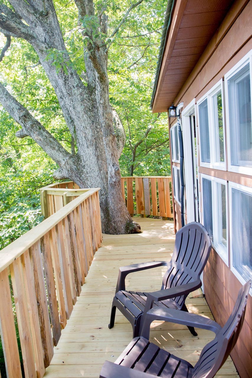 Moonlight Tree House - The Cottage