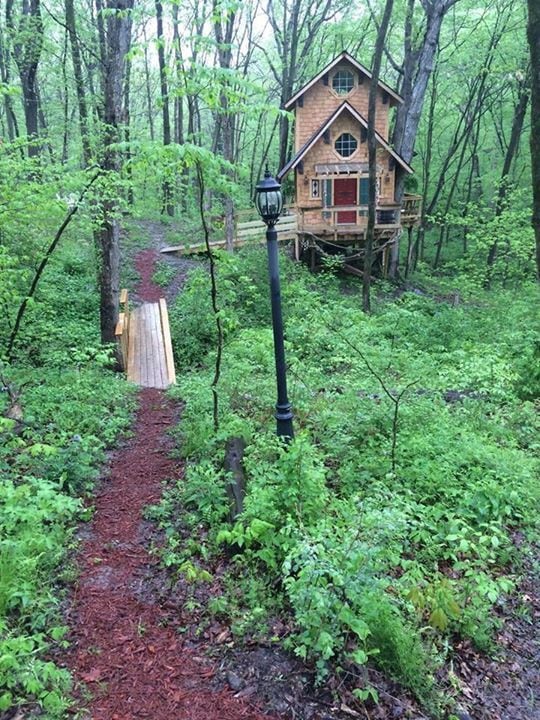 Captains Quarters Treehouse