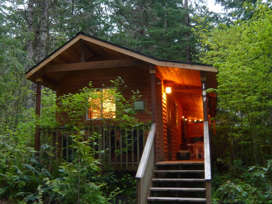 HotTub~FireplaceLodging@Mt Rainier Mtn Lily Cabin