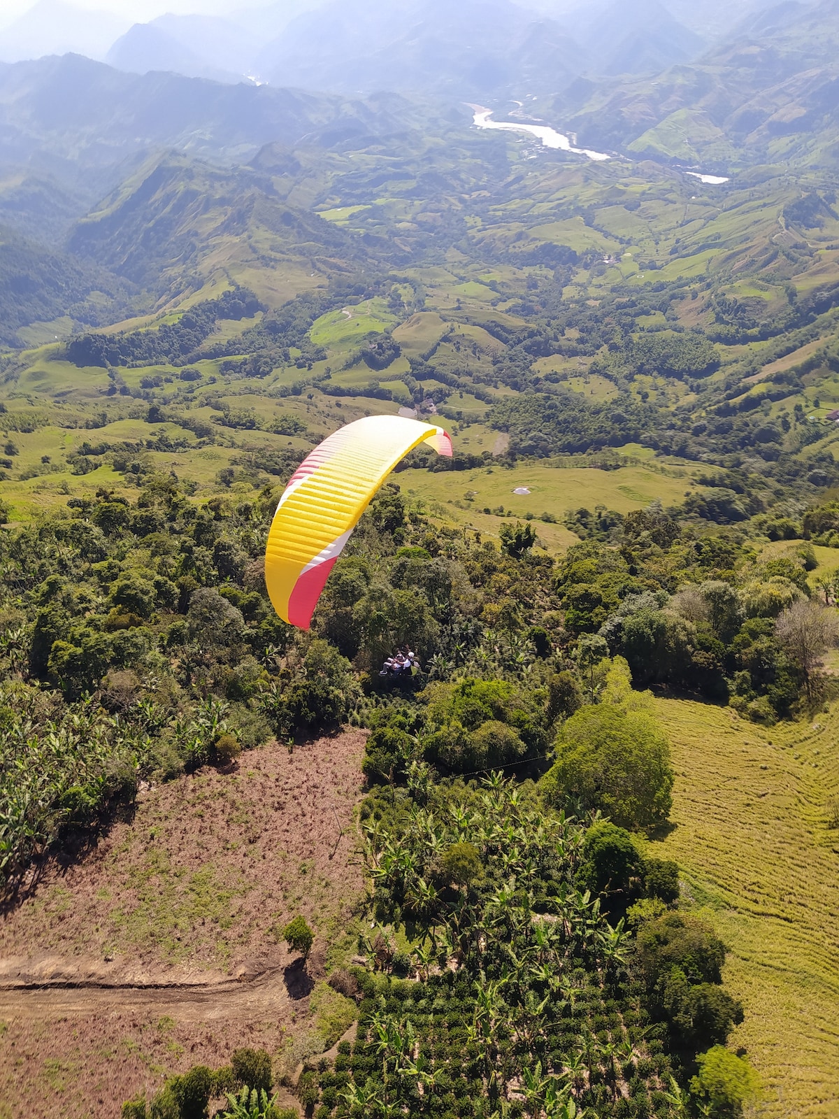 A su Merced entre Nubes, Montañas y Café.