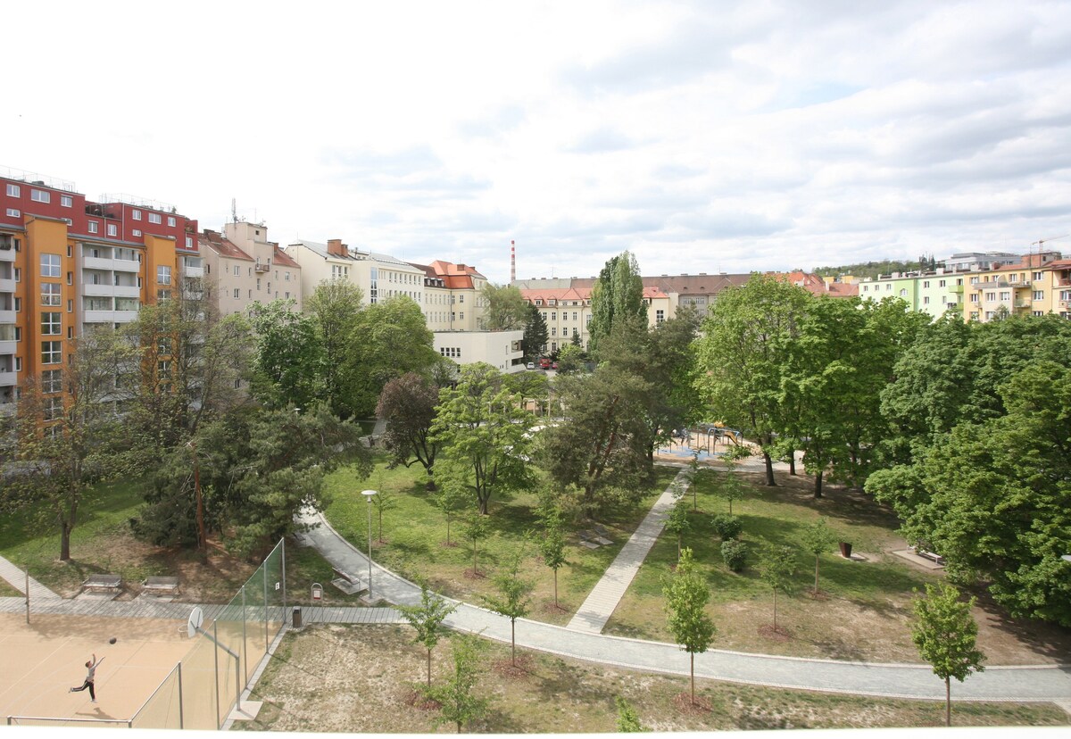 靠近市中心的宽敞公寓，俯瞰绿树成荫的公园