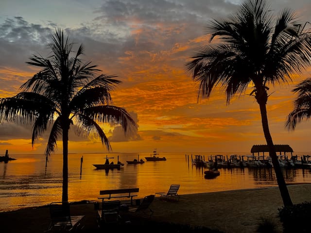 伊斯拉摩拉(Islamorada)的民宿