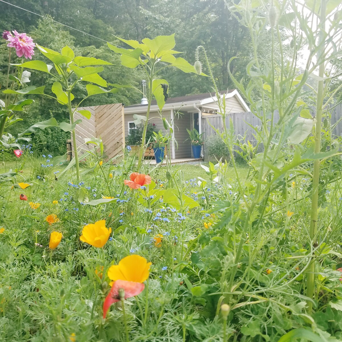 Backyard Garden Tiny Cottage at Oliver Hollar.