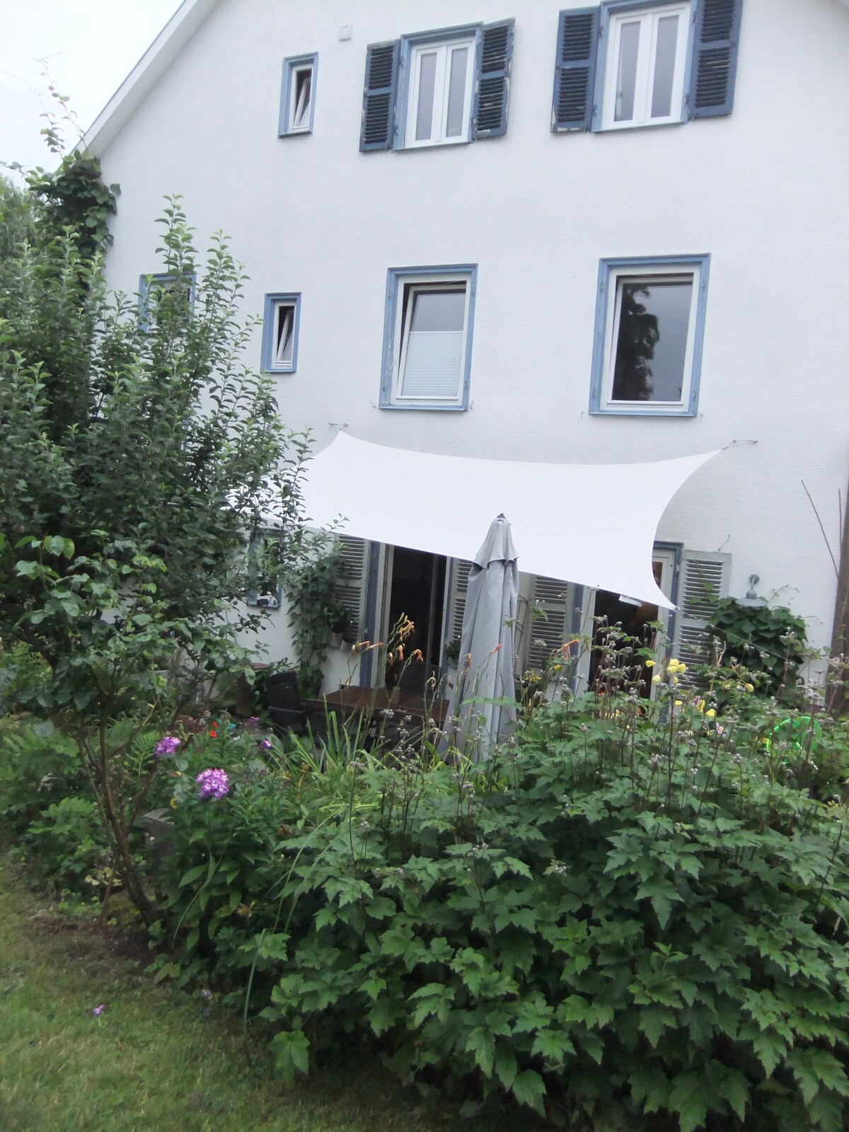 Wohnung mit grüner Gartenoase