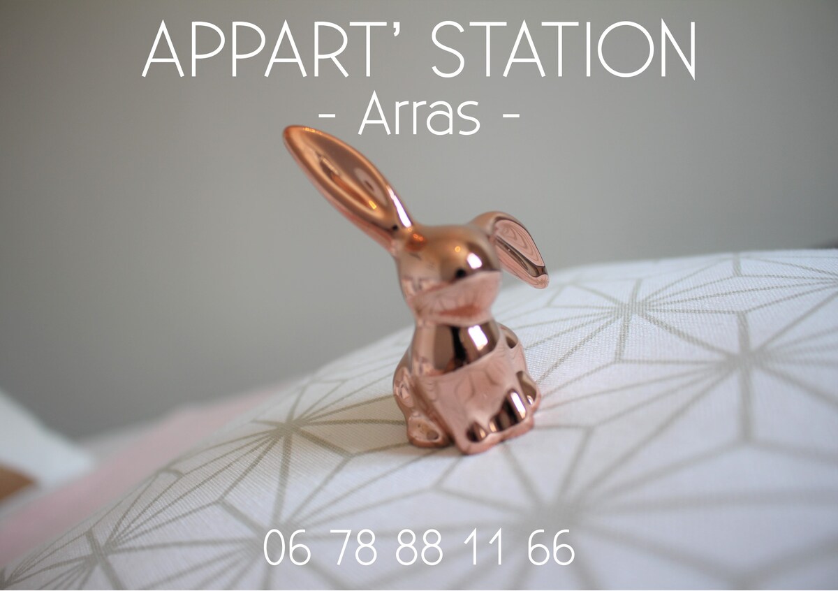 Appart 'Station Arras