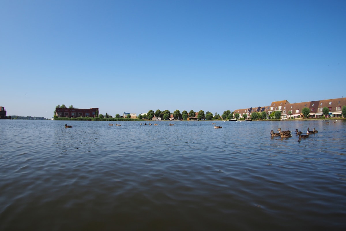舒适的家庭住宅，可欣赏阿姆斯特丹附近的湖景