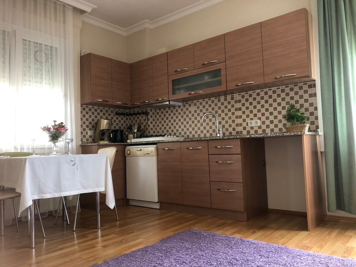 1+1 Villa Room in Selçuk - Juno