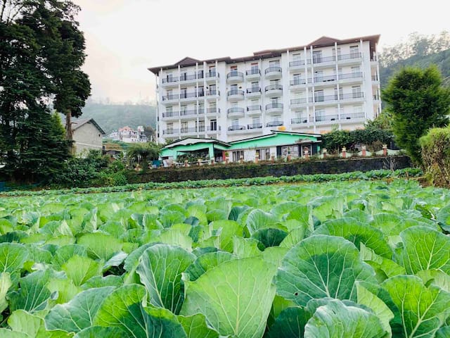 努沃勒埃利耶 (Nuwara Eliya)的民宿