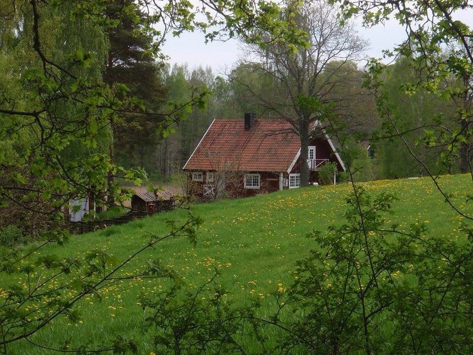 National romantic cottage near lake