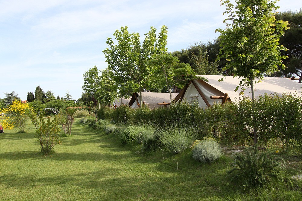 BNatural Place for your own Tent naturist campsite