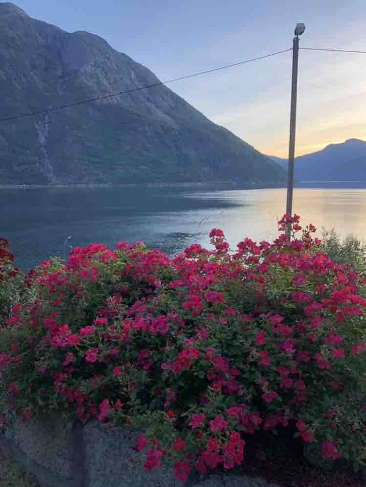 挪威Hardanger的Perfeckt景观！