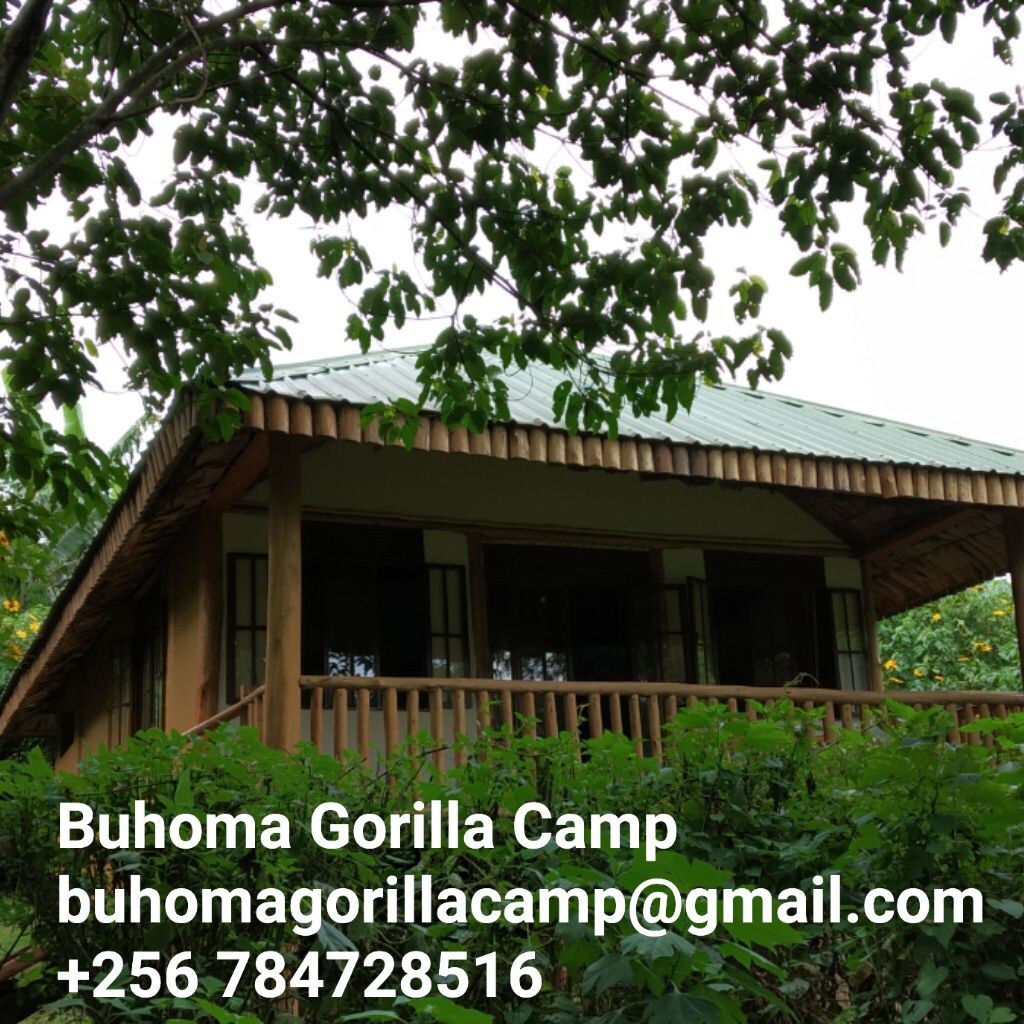 Buhoma Gorilla Camp mid range cottages at Bwindi