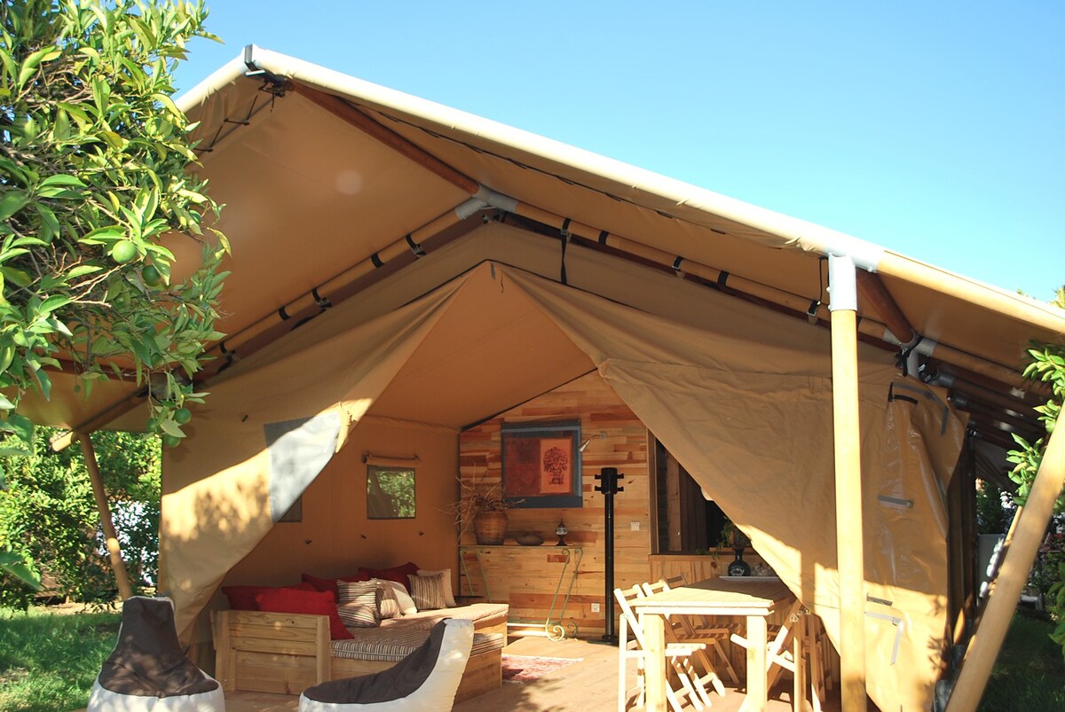 Eco Glamping in Safari tent, Campo Portakal Cirali