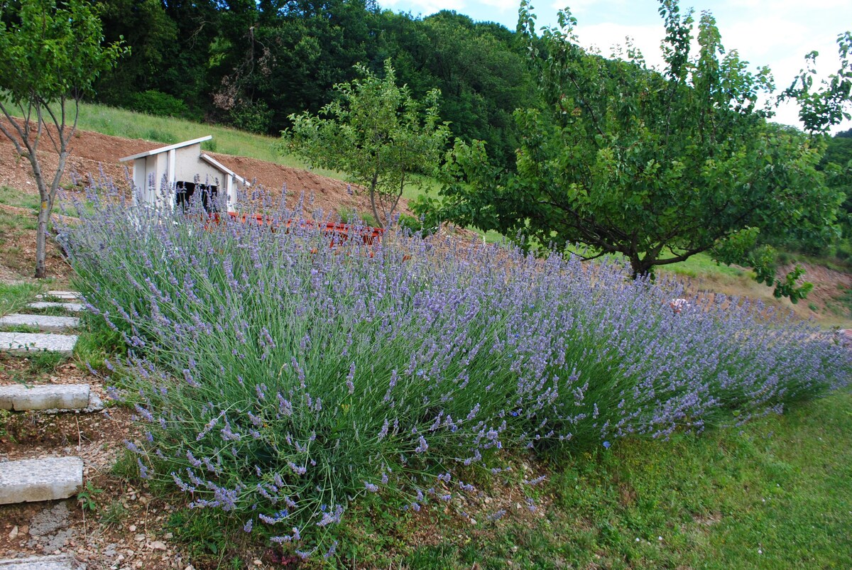 Agriturismo B&B La Cerasa