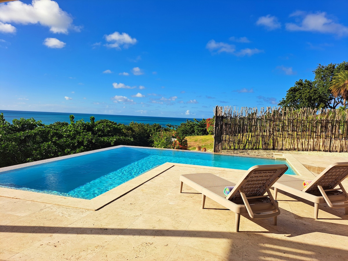 Splendid villa with private pool near the beach